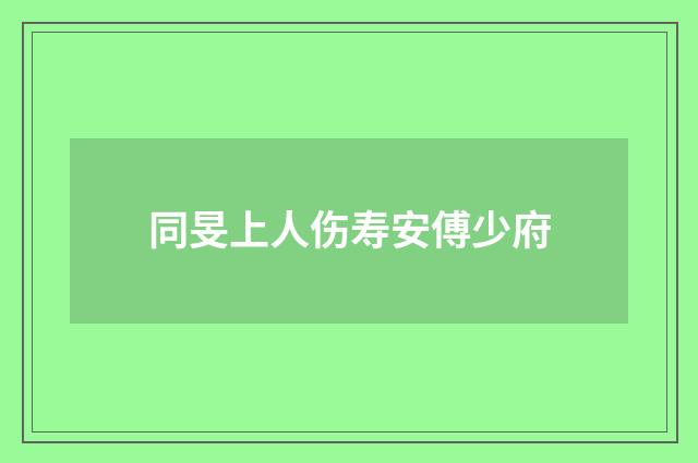 同旻上人伤寿安傅少府