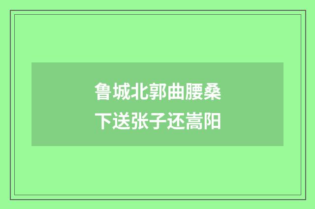 鲁城北郭曲腰桑下送张子还嵩阳