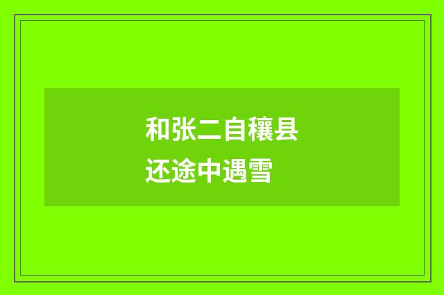和张二自穰县还途中遇雪