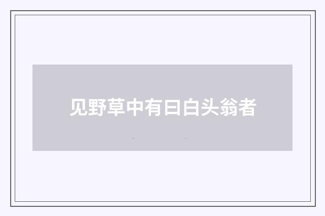 见野草中有曰白头翁者