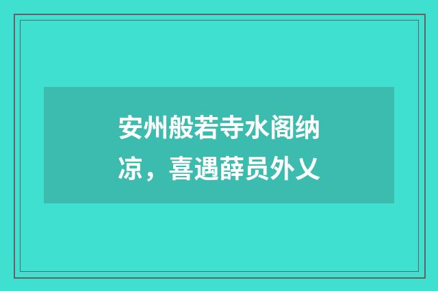 安州般若寺水阁纳凉，喜遇薛员外乂