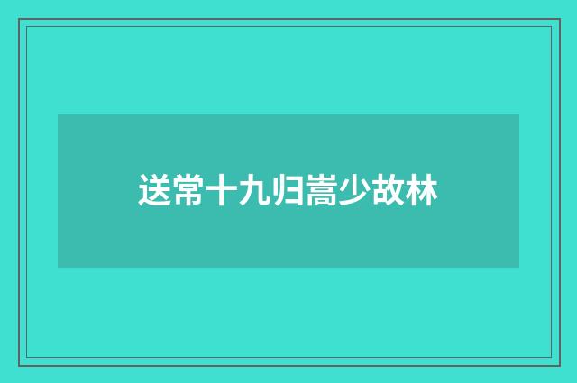 送常十九归嵩少故林