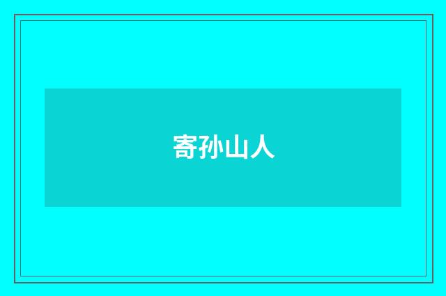 寄孙山人