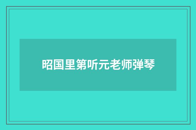 昭国里第听元老师弹琴