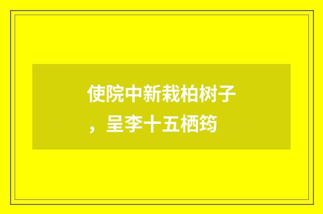 使院中新栽柏树子，呈李十五栖筠