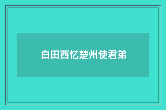 白田西忆楚州使君弟