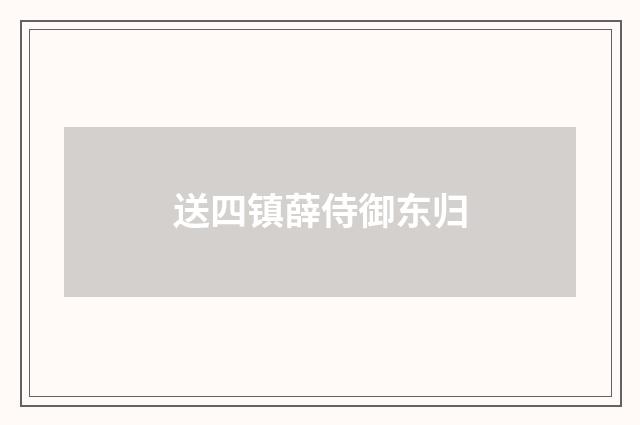 送四镇薛侍御东归