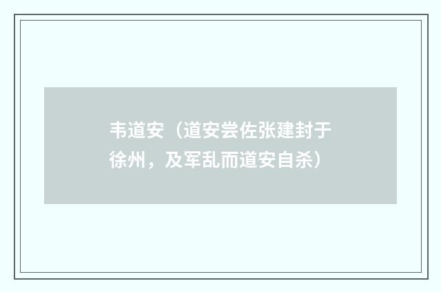韦道安（道安尝佐张建封于徐州，及军乱而道安自杀）