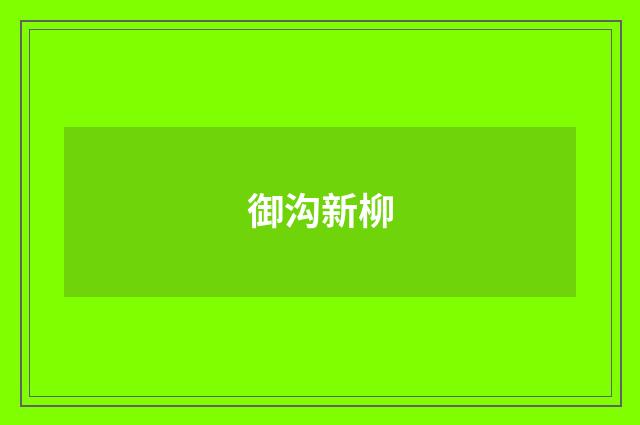 御沟新柳