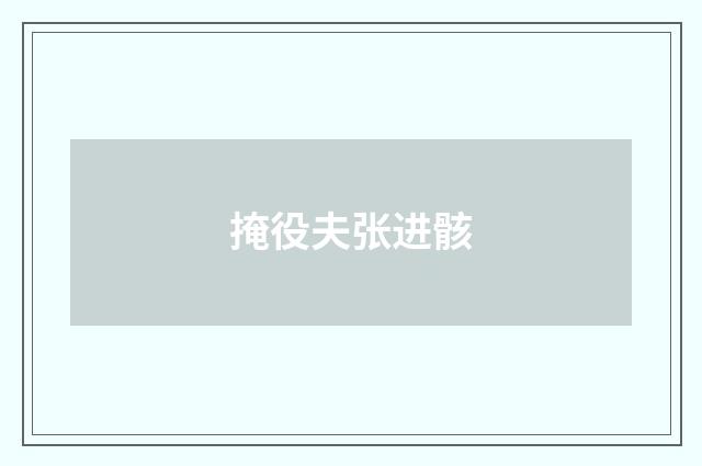 掩役夫张进骸