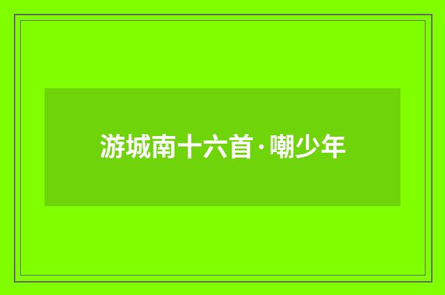 游城南十六首·嘲少年