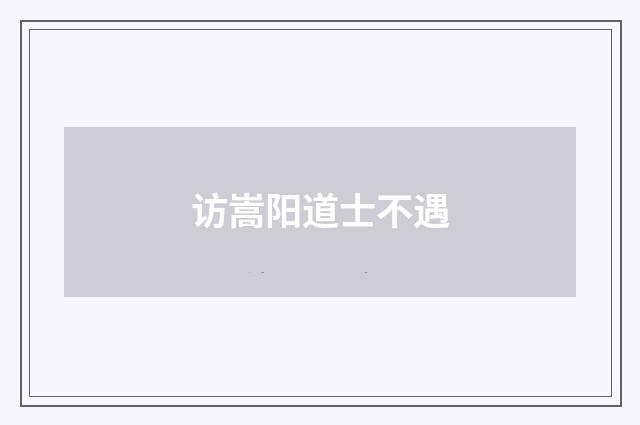 访嵩阳道士不遇