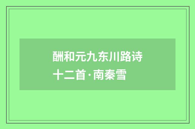 酬和元九东川路诗十二首·南秦雪