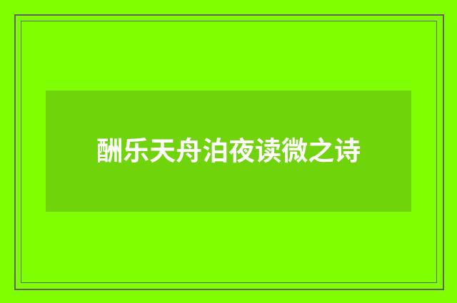 酬乐天舟泊夜读微之诗