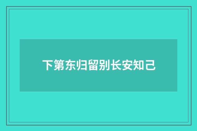 下第东归留别长安知己