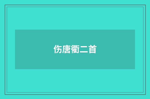 伤唐衢二首