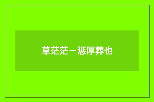 草茫茫－惩厚葬也