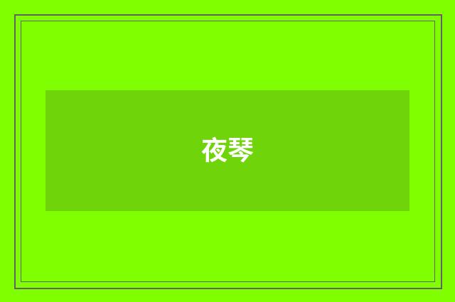 夜琴
