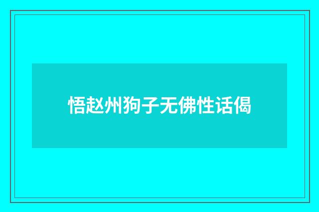 悟赵州狗子无佛性话偈
