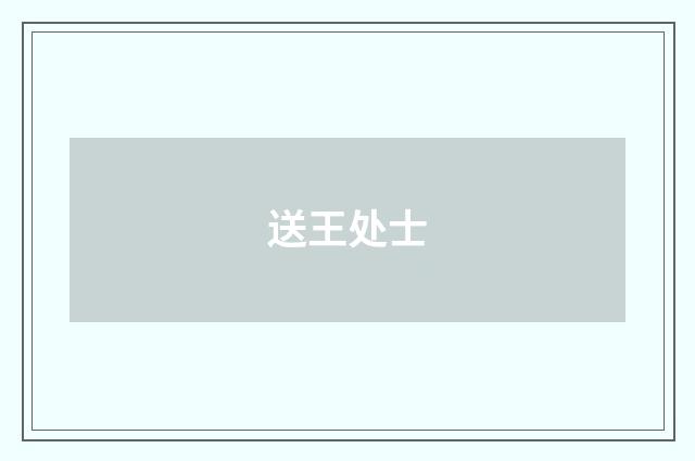 送王处士