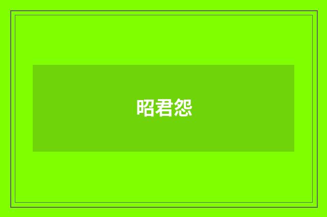 昭君怨