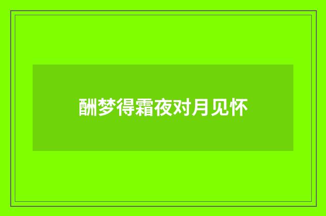 酬梦得霜夜对月见怀