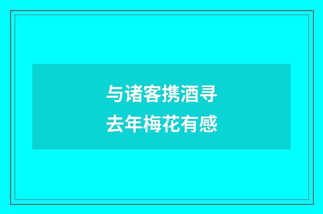 与诸客携酒寻去年梅花有感