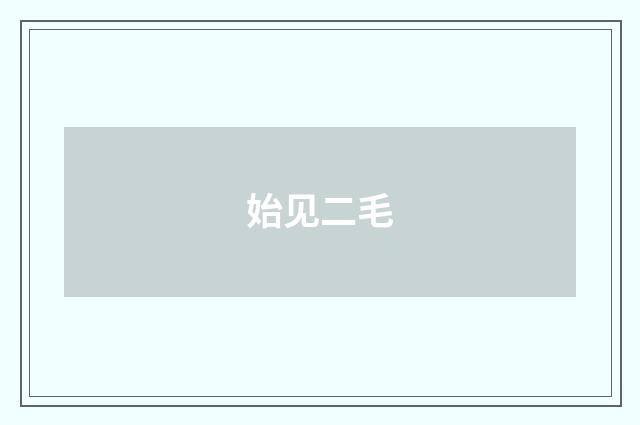 始见二毛
