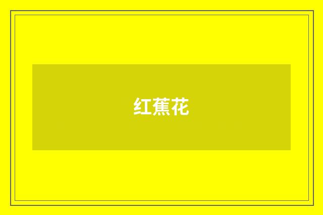 红蕉花