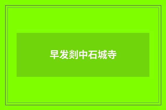 早发剡中石城寺