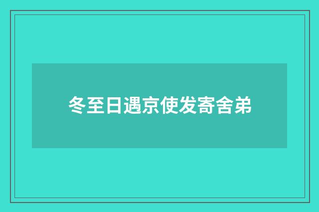 冬至日遇京使发寄舍弟
