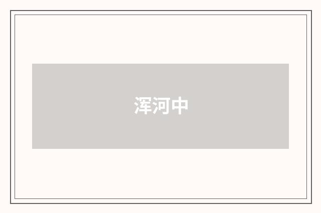 浑河中