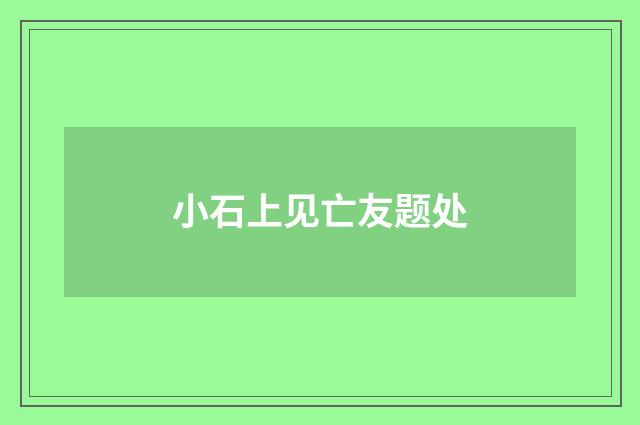小石上见亡友题处