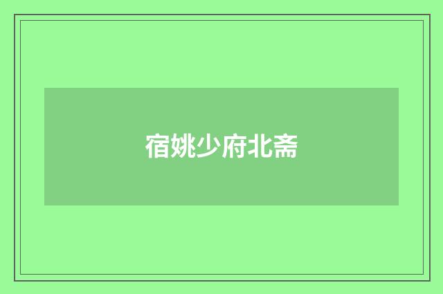 宿姚少府北斋