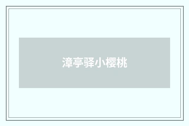 漳亭驿小樱桃