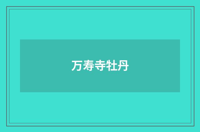 万寿寺牡丹