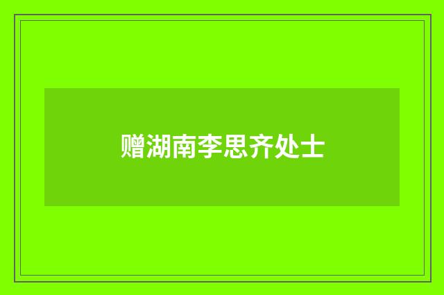 赠湖南李思齐处士