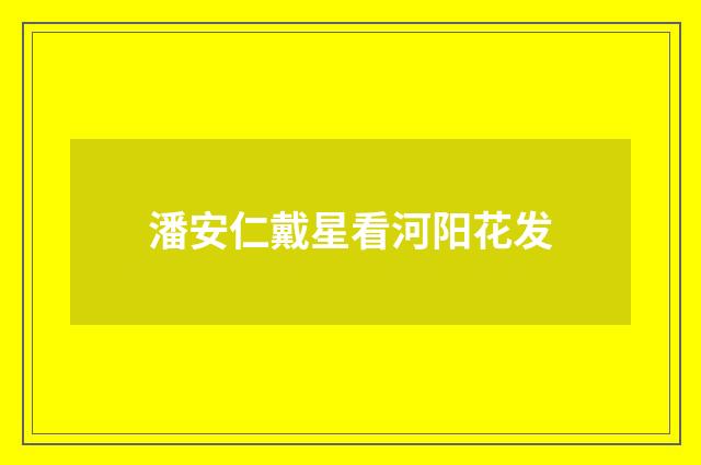潘安仁戴星看河阳花发