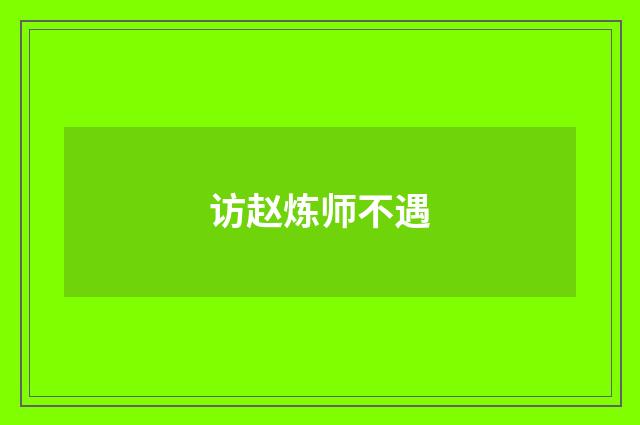 访赵炼师不遇