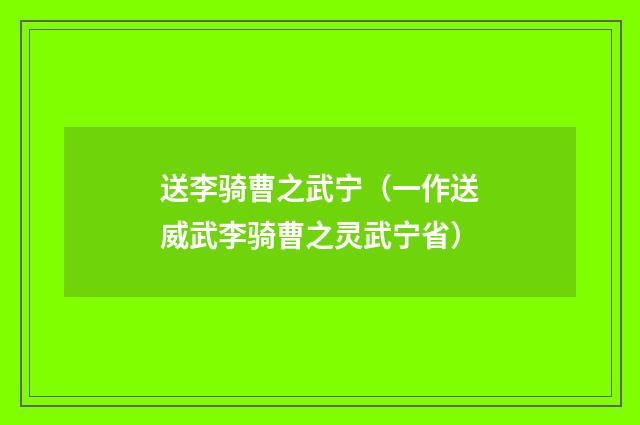 送李骑曹之武宁（一作送威武李骑曹之灵武宁省）