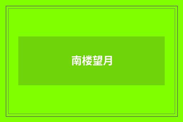 南楼望月