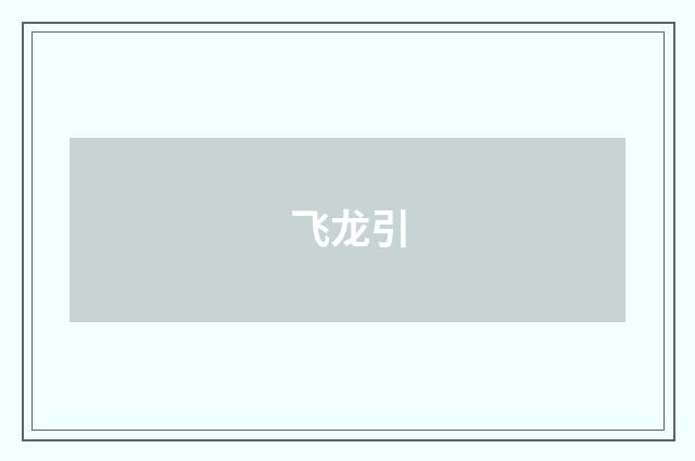 飞龙引