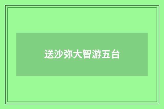 送沙弥大智游五台