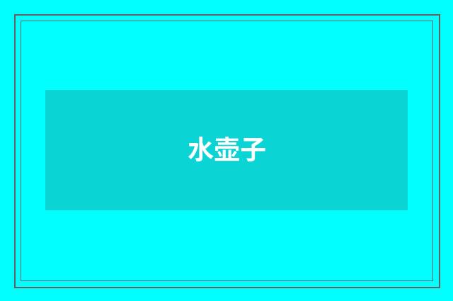 水壶子