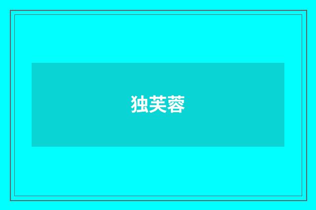 独芙蓉