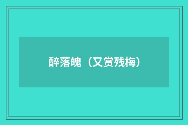 醉落魄（又赏残梅）