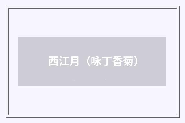 西江月（咏丁香菊）