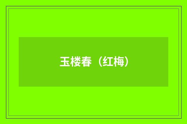 玉楼春（红梅）
