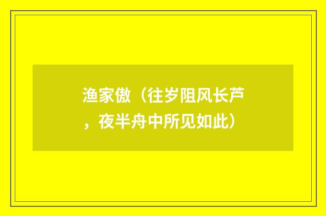 渔家傲（往岁阻风长芦，夜半舟中所见如此）