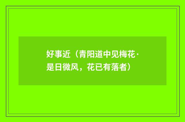 好事近（青阳道中见梅花·是日微风，花已有落者）